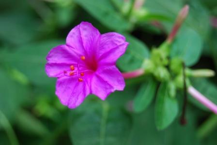 谁不讲风水谁倒霉?